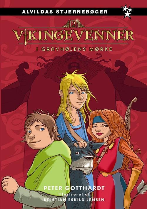 Cover for Peter Gotthardt · Vikingevenner: Vikingevenner 2: Gravhøjens mørke (Bound Book) [1º edição] (2016)