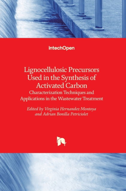 Lignocellulosic Precursors Used in the Synthesis of Activated Carbon: Characterization Techniques and Applications in the Wastewater Treatment - Virginia Hernandez Montoya - Books - In Tech - 9789535101970 - February 29, 2012