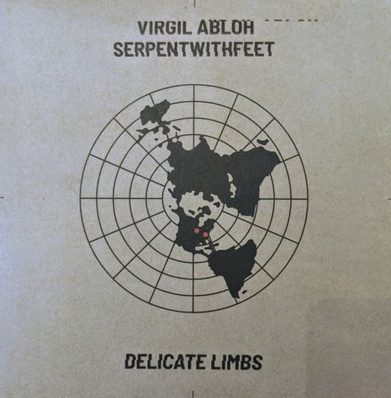 Delicate Limbs - Virgil Abloh - Musik - COLUMBIA - 0194398377971 - 5. marts 2021