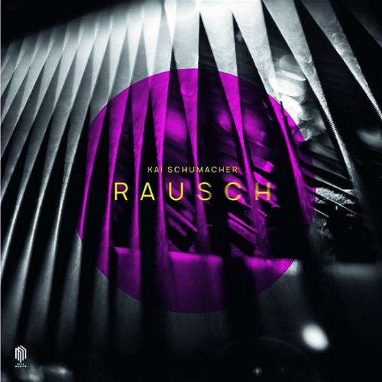 Cover for Kai Schumacher · Rausch (LP) (2019)