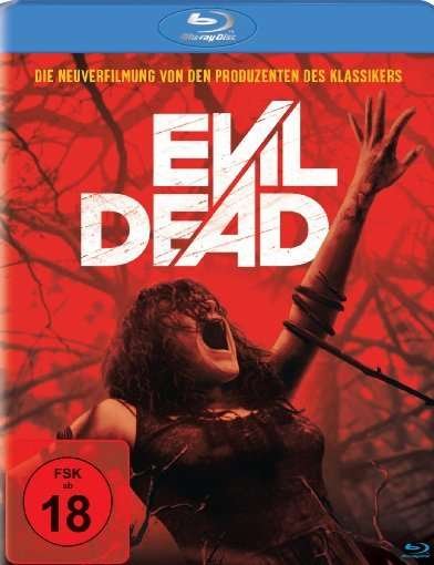 Cover for Evil Dead (Blu-ray) [Cut edition] (2013)