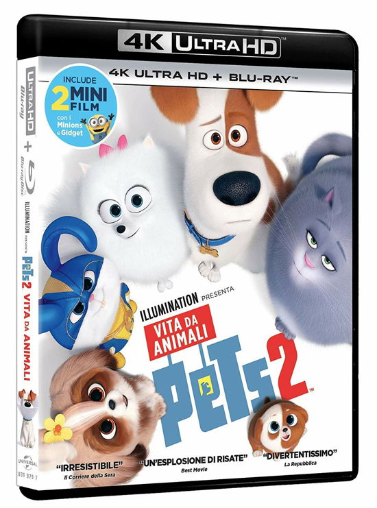 Pets 2 - Vita Da Animali (Blu-ray 4k Ultra Hd+blu-ray) - Pets 2 - Films - UNIVERSAL PICTURES - 5053083197971 - 8 oktober 2019