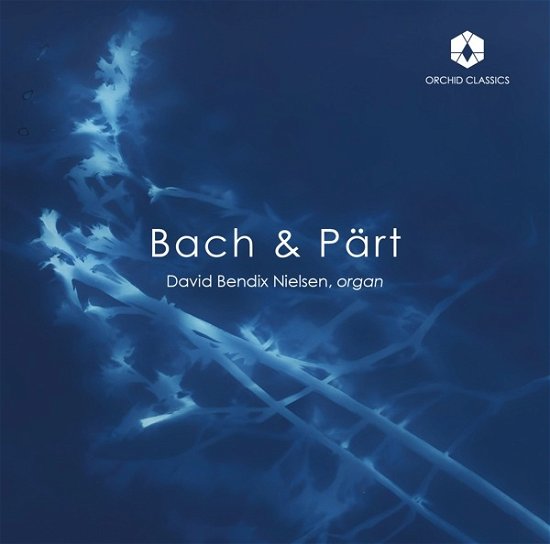 Cover for Bendix Nielsen · Johann Sebastian Bach &amp; Arvo Part: Organ Works (CD) (2022)
