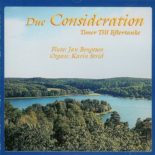 Cover for Jan Bengston · Due Consideration / Toner Till Eftertanke (CD) (2001)