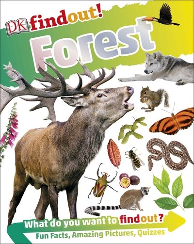 Cover for Dk · DKfindout! Forest - DKfindout! (Paperback Book) (2017)