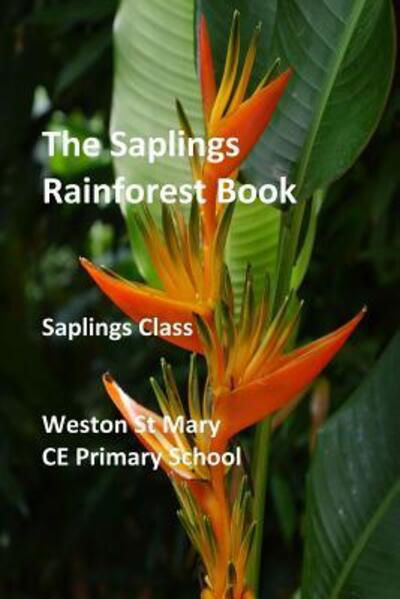 Cover for Weston St Mary School (Saplings Class) · The Saplings Rainforest Book (Taschenbuch) (2017)