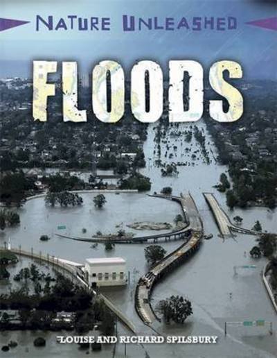 Nature Unleashed: Floods - Nature Unleashed - Louise Spilsbury - Livros - Hachette Children's Group - 9781445153971 - 8 de junho de 2017