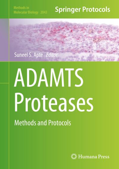 Cover for ADAMTS Proteases (Book) [1st ed. 2020 edition] (2019)