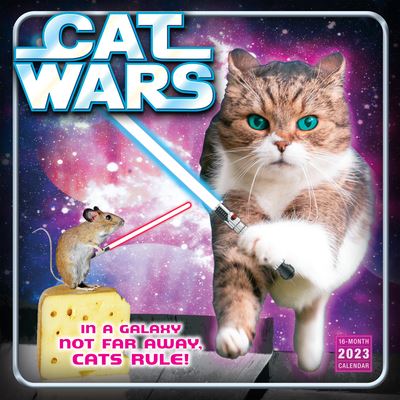 Cover for Sellers Publishing · Cat Wars - Wall 16 Month (Taschenbuch) (2022)