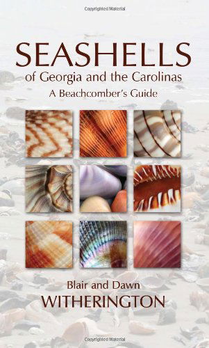 Cover for Blair Witherington · Seashells of Georgia and the Carolinas (Paperback Book) (2011)