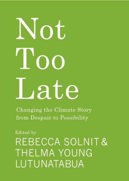 Cover for Rebecca Solnit · Not Too Late: Changing the Climate Story from Despair to Possibility (Pocketbok) (2023)