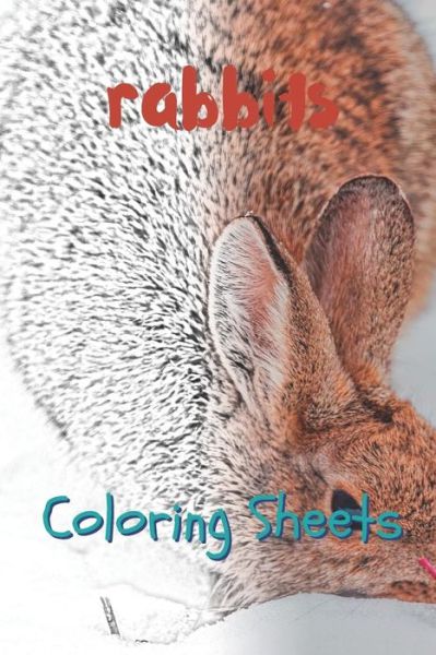 Cover for Julian Smith · Rabbit Coloring Sheets (Pocketbok) (2019)