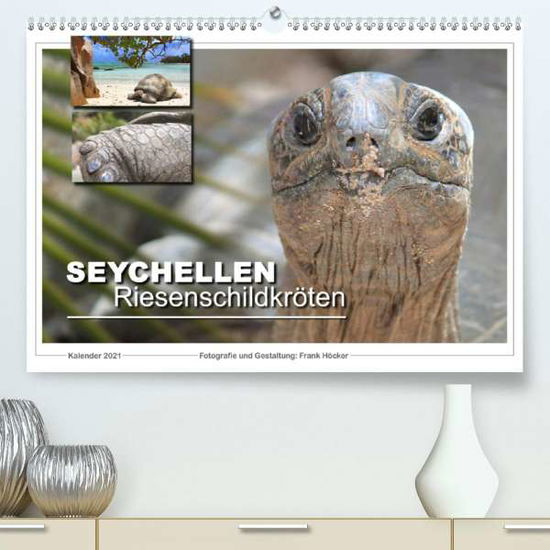 Seychellen Riesenschildkröten (P - Höcker - Books -  - 9783672452971 - 