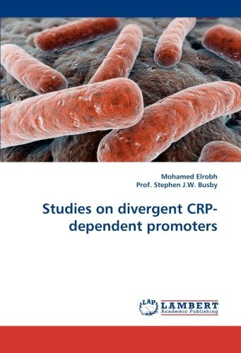Prof. Stephen J.w. Busby · Studies on Divergent Crp-dependent Promoters (Paperback Book) (2010)