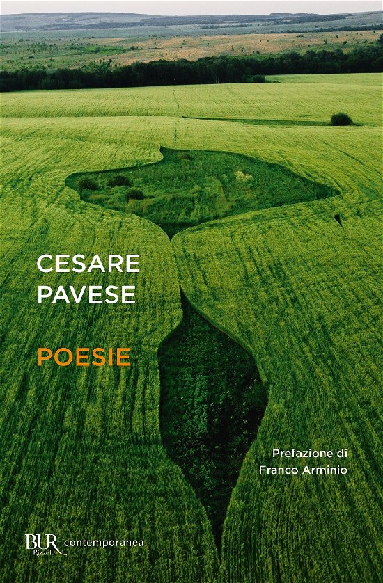 Cover for Cesare Pavese · Poesie (DVD)