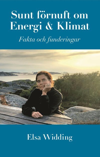 Sunt förnuft om Energi och Klimat - Elsa Widding - Bøker - Elsa Widding AB - 9789151926971 - 2022