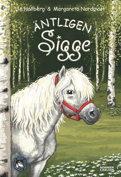 Cover for Lin Hallberg · BUS - Brobyungarnas shettisar: Äntligen Sigge (ePUB) (2014)