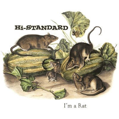 Cover for Hi-Standard · I'm A Rat (LP) [Picture Disc edition] (2023)