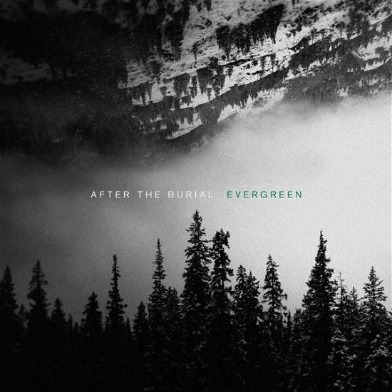 Evergreen - After the Burial - Musikk - Sumerian Records - 0817424019972 - 3. mai 2019