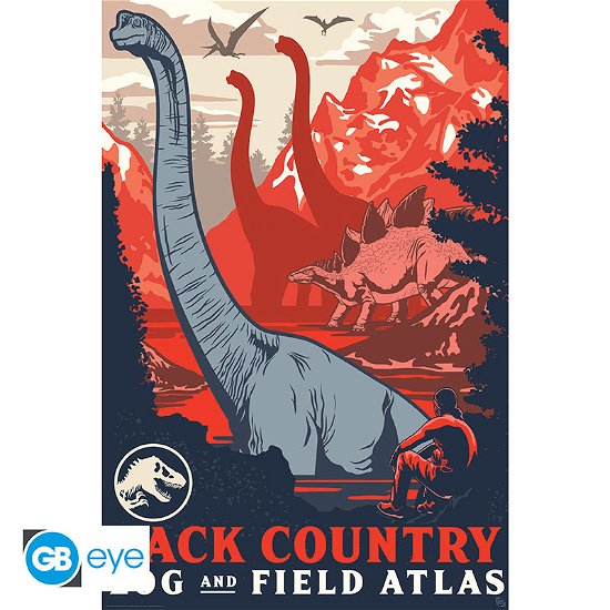 Cover for Großes Poster · JURASSIC WORLD - Poster «Back Country» (91.5x61) (Legetøj) (2019)