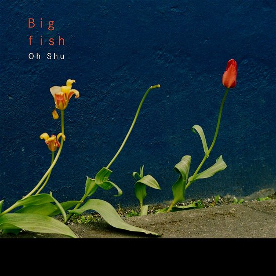 Cover for Oh Shu · Big Fish (CD) [Japan Import edition] (2019)
