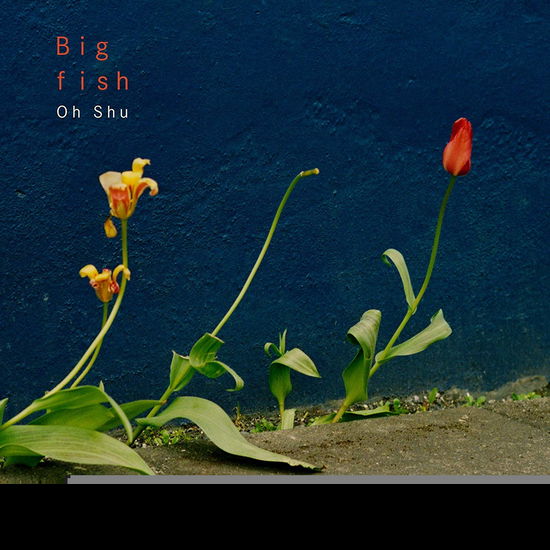 Cover for Oh Shu · Big Fish (CD) [Japan Import edition] (2019)