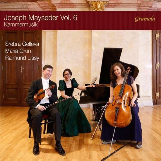 Cover for Gelleva / Grun / Lissy · Joseph Mayseder. Vol. 6 - Kammermusik (CD) (2020)