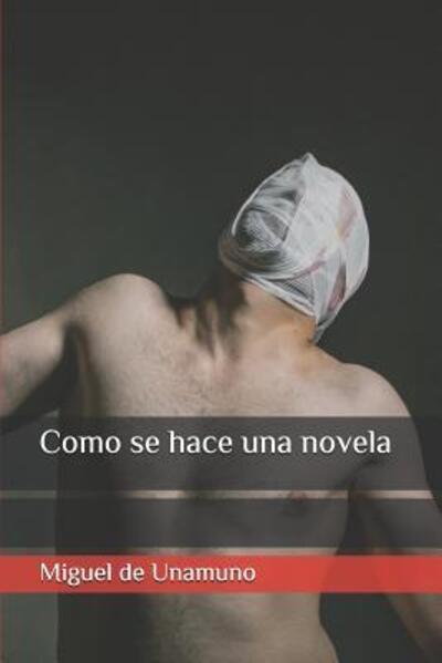 Cover for Miguel de Unamuno · Como se hace una novela (Paperback Book) (2019)