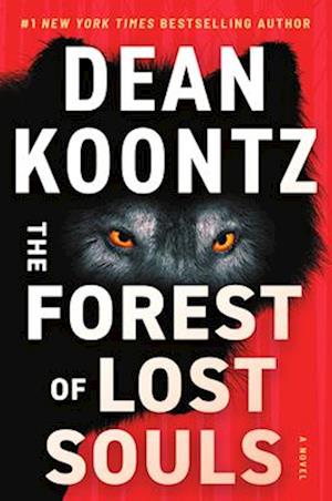 Cover for Dean Koontz · Forest of Lost Souls (Buch) (2024)