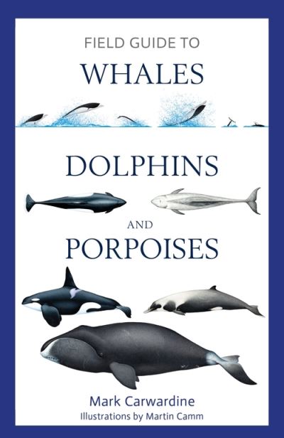 Cover for Mark Carwardine · Field Guide to Whales, Dolphins and Porpoises - Bloomsbury Naturalist (Paperback Book) (2022)