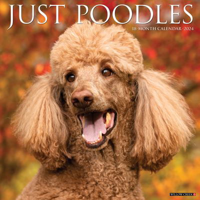 Just Poodles 2024 12 X 12 Wall Calendar - Willow Creek Press - Gadżety - Willow Creek Press - 9781549234972 - 1 sierpnia 2023