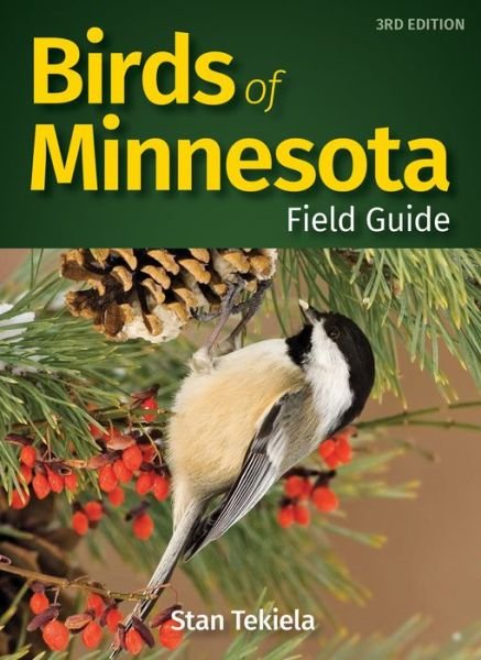 Cover for Stan Tekiela · Birds of Minnesota Field Guide - Bird Identification Guides (Paperback Bog) [3 Revised edition] (2019)