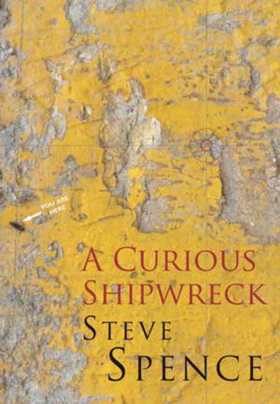 Cover for Steve Spence · Curious Shipwreck (Paperback Book) (2010)