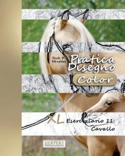 Cover for York P Herpers · Pratica Disegno [Color] - XL Eserciziario 11 (Paperback Book) (2017)