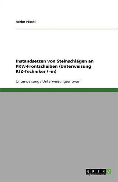 Cover for Pöschl · Instandsetzen von Steinschlägen (Bog) [German edition] (2013)