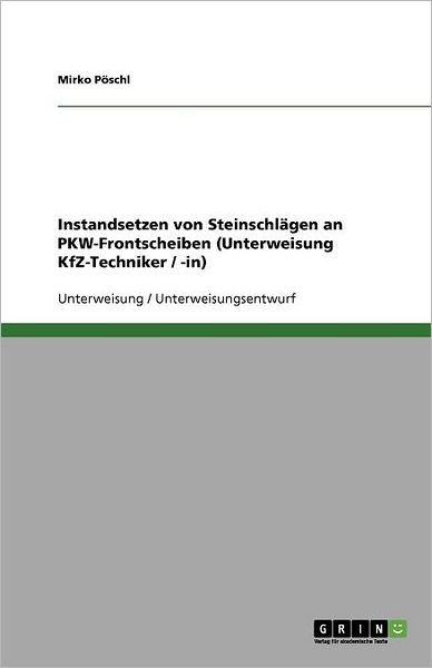 Cover for Pöschl · Instandsetzen von Steinschlägen (Buch) [German edition] (2013)