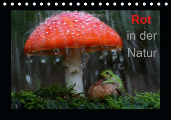 Cover for Bachmeier · Rot in der Natur (Tischkalend (Book)