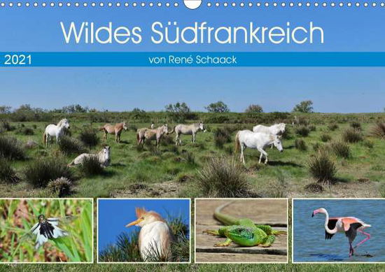 Cover for Schaack · Wildes Südfrankreich (Wandkalen (Book)