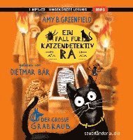 Cover for Amy Butler Greenfield · MP3 Ein Fall für Katzendetektiv Ra - Der große Grabraub (CD)