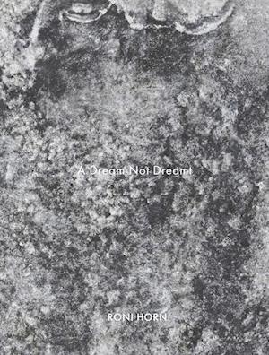 Cover for Roni Horn: A Dream Not Dreamt (Hardcover bog) (2025)