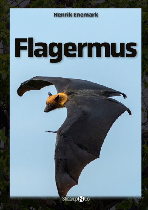 Cover for Henrik Enemark · Maxi: Flagermus (Hardcover Book) [1st edition] (2020)