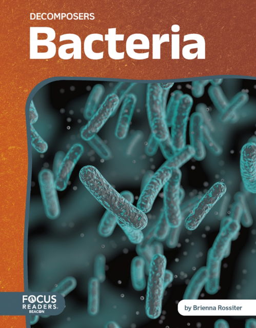 Bacteria - Decomposers - Brienna Rossiter - Books - North Star Editions - 9798889983972 - 2025
