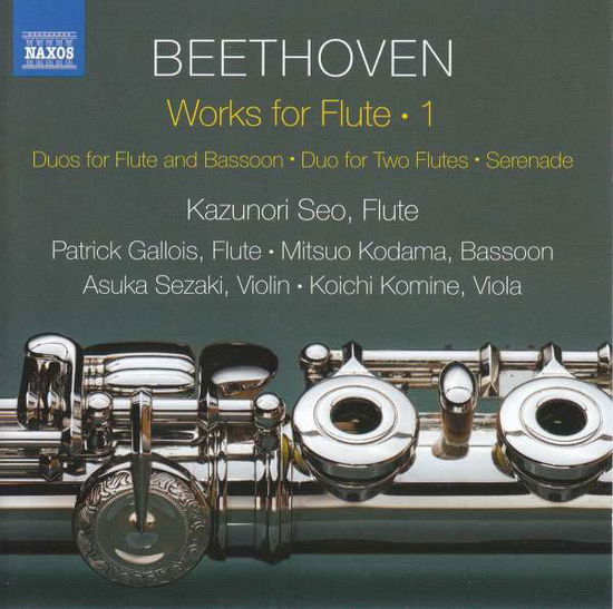 Cover for Ludwig Van Beethoven · Works for Flute 1 (CD) (2018)