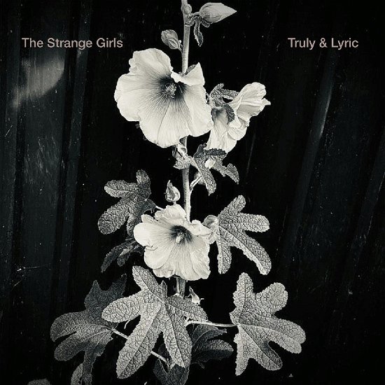 Strange Girls · Truly & Lyric (7") (2024)
