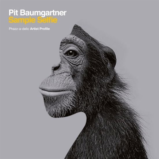 Sample Selfie - Pit Baumgartner - Musik - PHAZZ-A-DELIC - 4260082360973 - 1. Oktober 2020