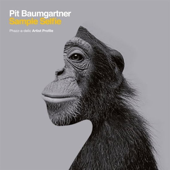 Cover for Pit Baumgartner · Sample Selfie (LP) (2020)