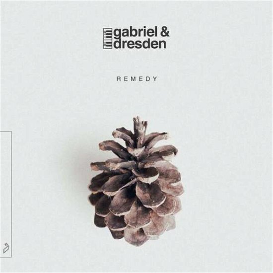 Cover for Gabriel &amp; Dresden · Remedy (LP) (2020)