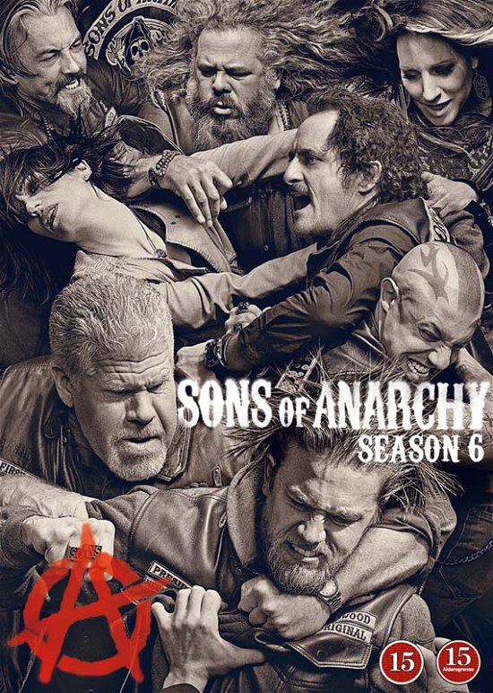 Cover for Sons of Anarchy · Season 6 (DVD) (2017)