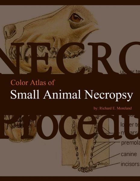 Cover for Richard Moreland · Color Atlas of Small Animal Necropsy (Book) (2009)