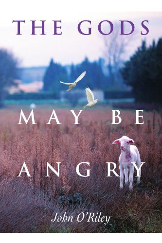Cover for John O'riley · The Gods May Be Angry (Paperback Book) (2004)